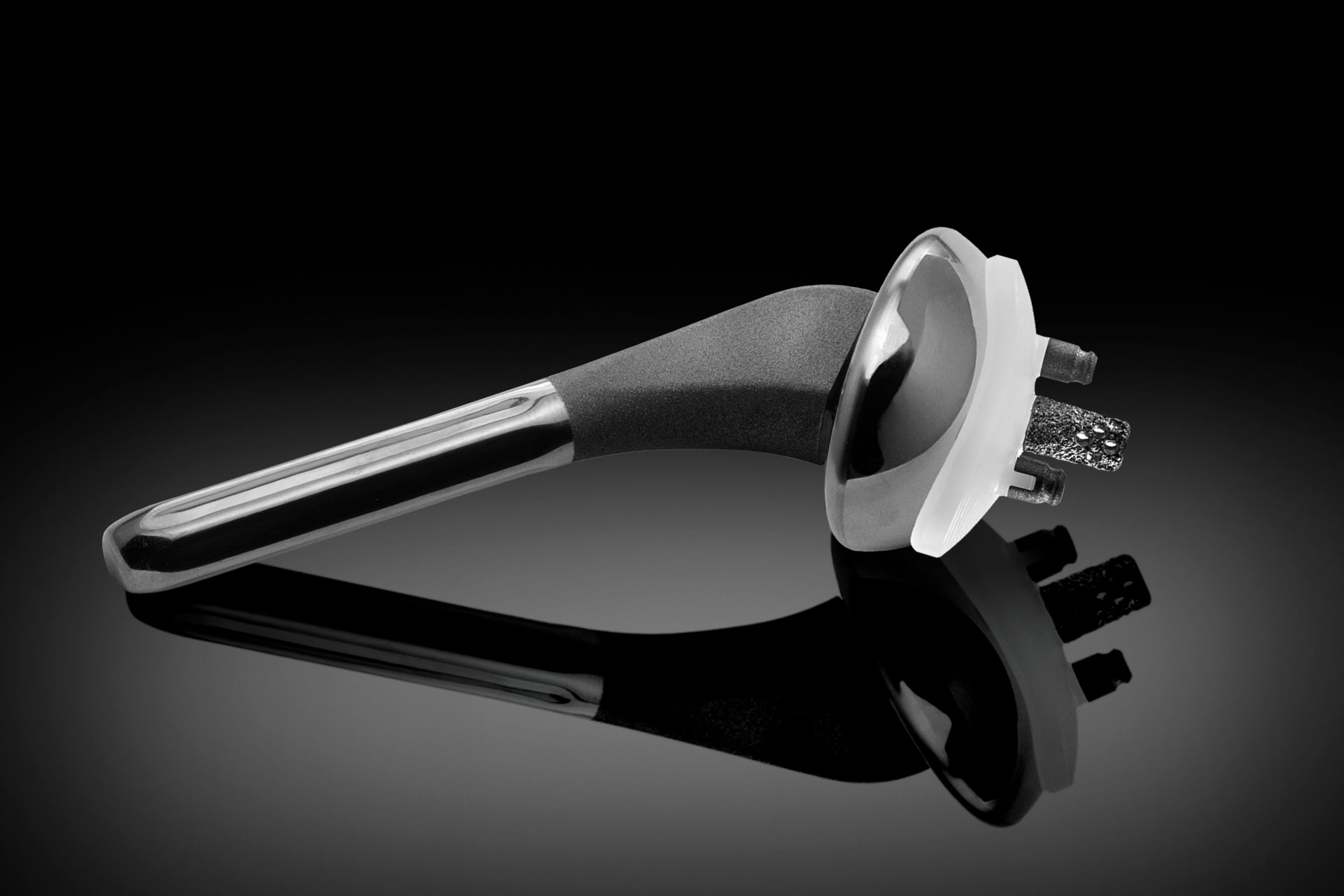 Advita Ortho Equinoxe Primary Shoulder